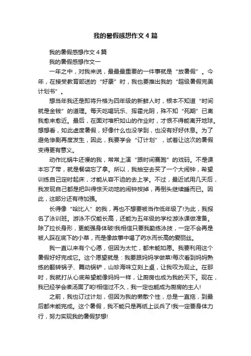 我的暑假感想作文4篇