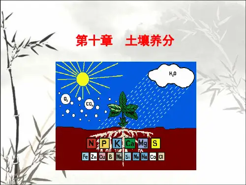 土壤养分 PPT课件