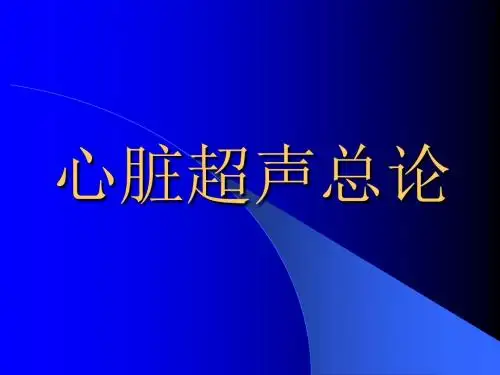 心脏超声总论ppt课件