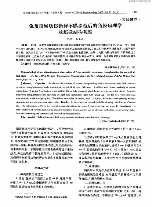 兔角膜碱烧伤新鲜羊膜移植后的角膜病理学及超微结构观察
