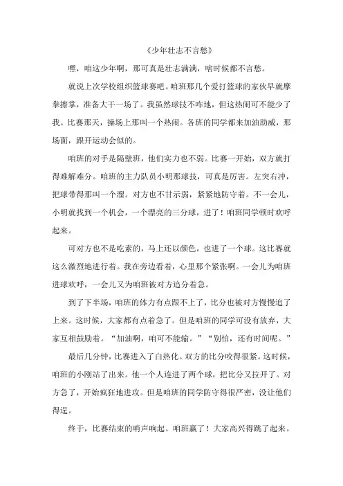 《少年壮志不言愁》作文