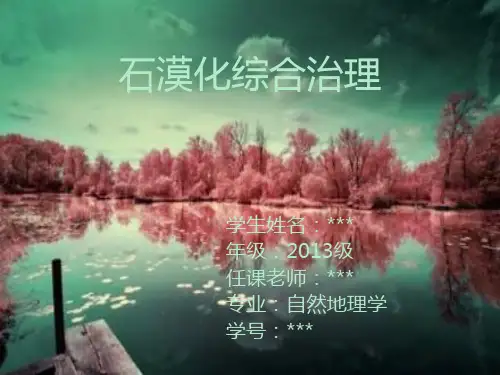 石漠化综合治理 PPT