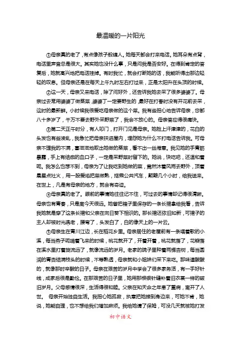 (初中语文记叙文阅读)最温暖的一片阳光(解析版)