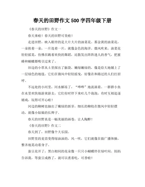 春天的田野作文500字四年级下册