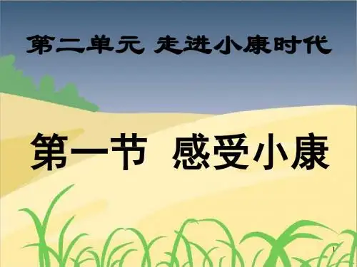 湘教版思想品德八年级下册第三课第一节 感受小康(共24张PPT)