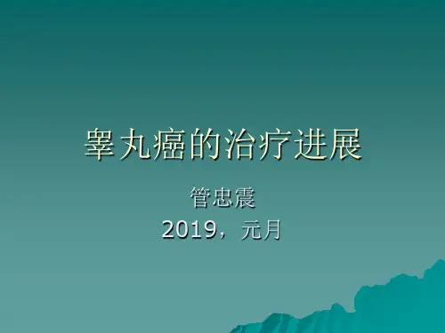 睾丸癌的治疗进展-精选文档