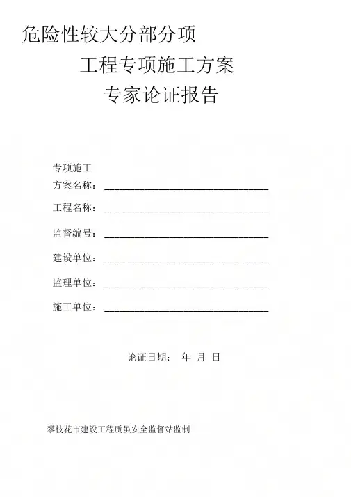 《专家论证报告》
