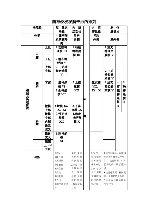 脑神经核在脑干内的排列