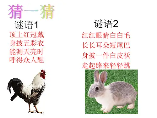 《鸡兔同笼》教学PPT课件