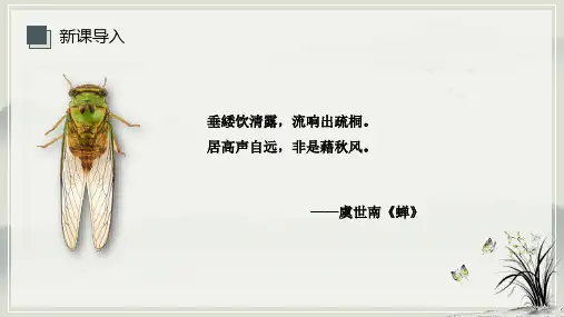第21课《蝉》课件(共31张PPT) 统编版语文八年级上册