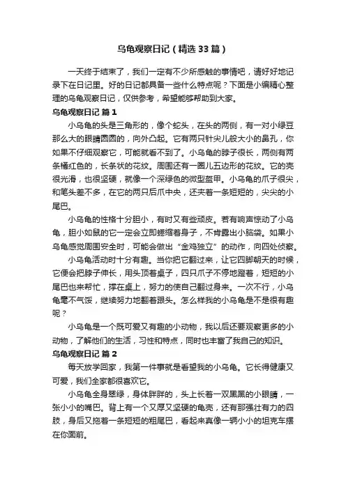 乌龟观察日记（精选33篇）