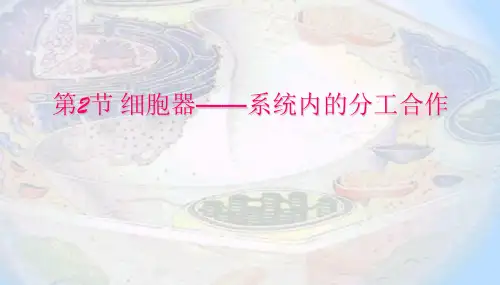 高中生物第2节 细胞器--课件