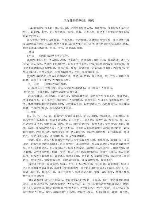 风湿骨病的病因、病机