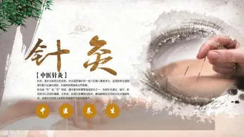 中国传统文化中国风中医针灸养生PPT模板
