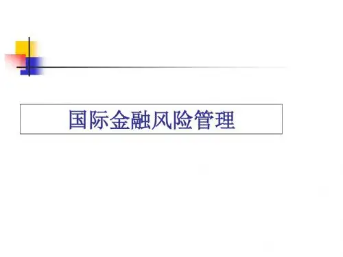 国际金融风险管理
