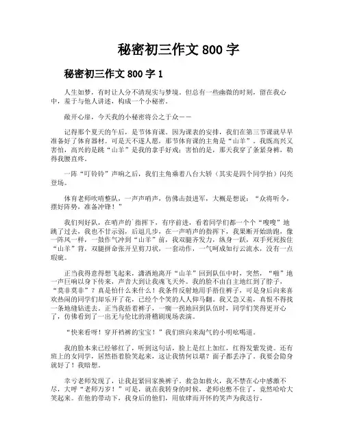 秘密初三作文800字