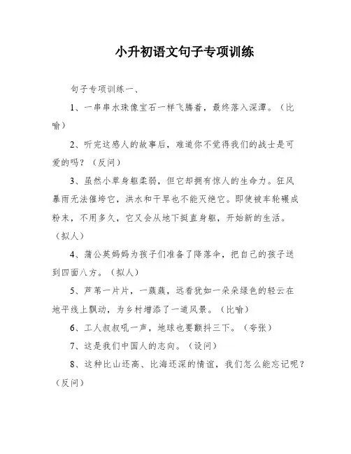 小升初语文句子专项训练