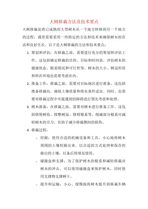 大树移栽方法及技术要点