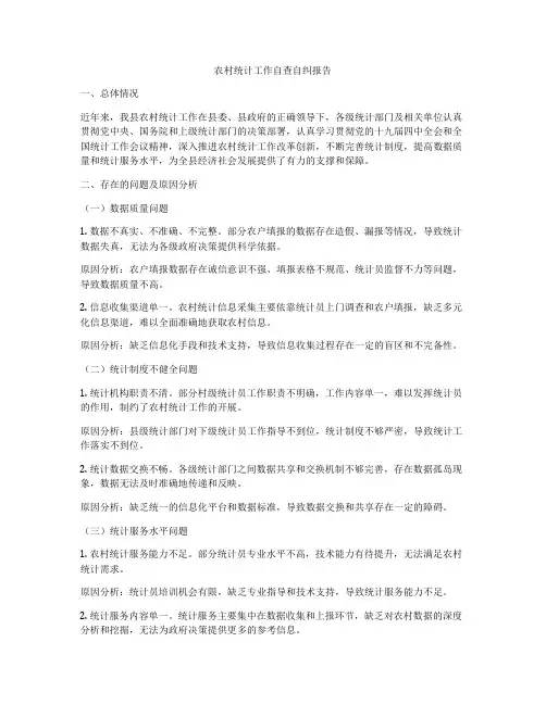 农村统计工作自查自纠报告