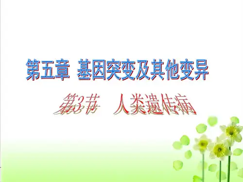 生物必修二人类遗传病教学PPT课件(原文)