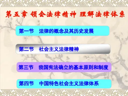道德与法治-第五章-领会法律精神_理解法律体系