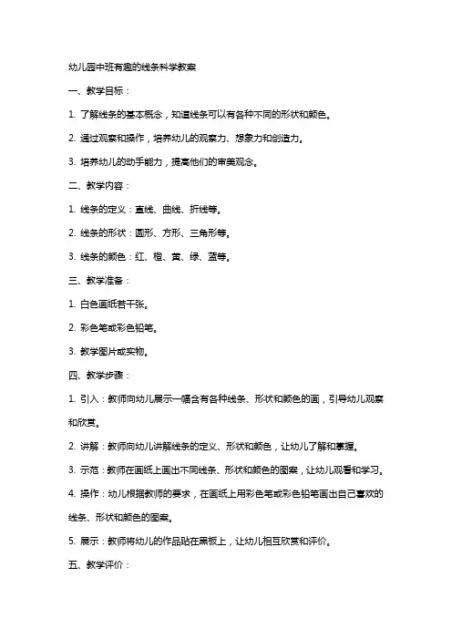 幼儿园中班有趣的线条科学教案