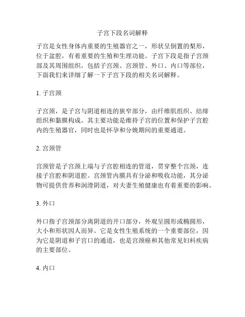 子宫下段名词解释