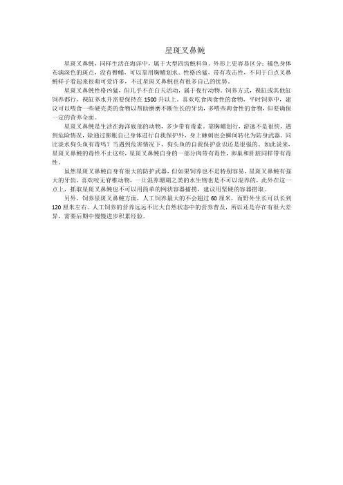 星斑叉鼻魨