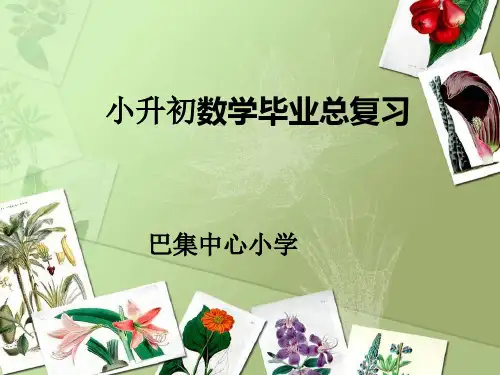 小升初六年级数学总复习课件