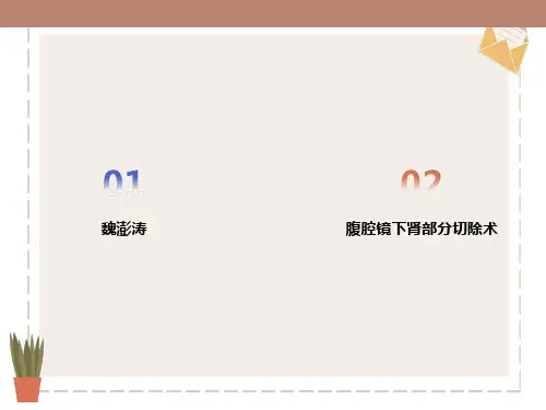 腹腔镜下肾部分切除术ppt课件