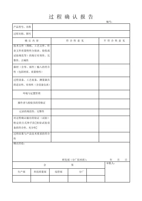 过程确认报告