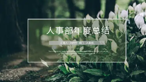 人事部年度总结ppt通用模板