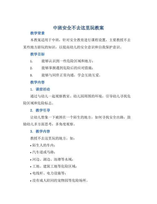 中班安全不去这里玩教案【含教学反思】