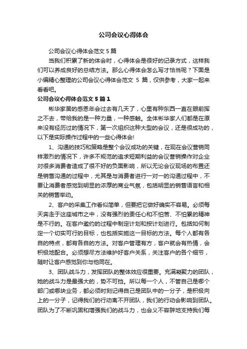 公司会议心得体会范文5篇