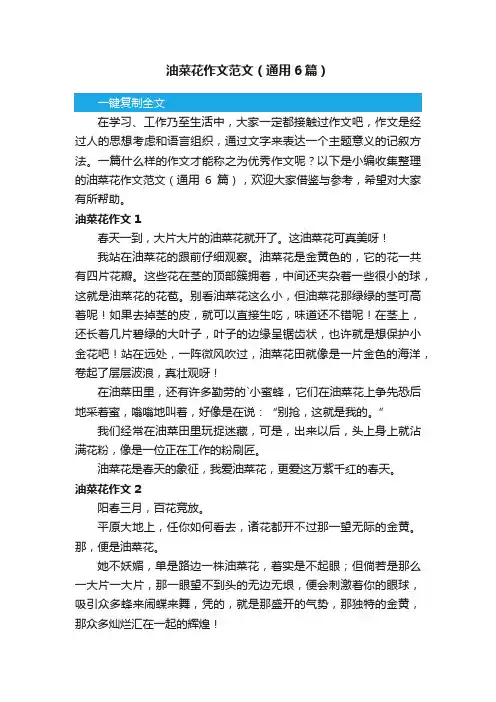 油菜花作文范文（通用6篇）