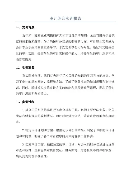 审计综合实训报告