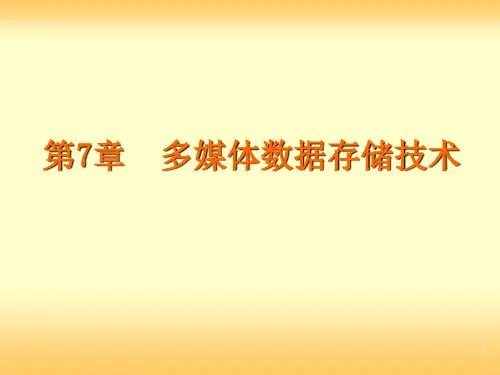 第7章 多媒体数据存储技术
