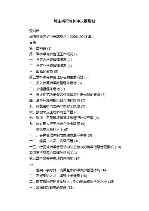 城市桥梁养护中长期规划