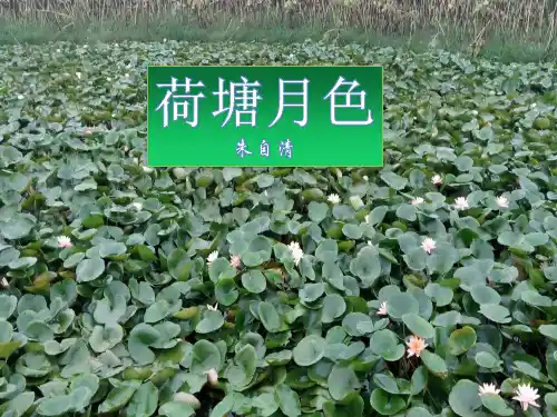 人教版必修二第一单元《荷塘月色》课件(42张)