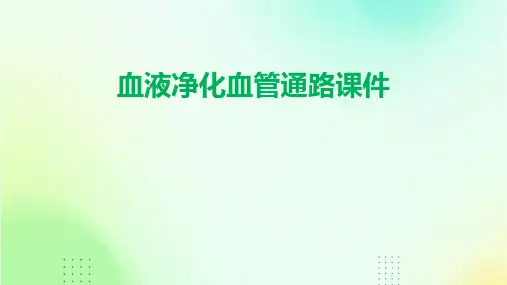 血液净化血管通路课件