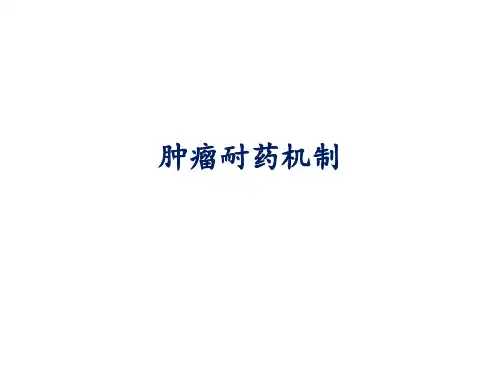 肿瘤耐药机制