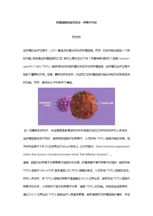 肿瘤细胞的临死反击：钾离子外放