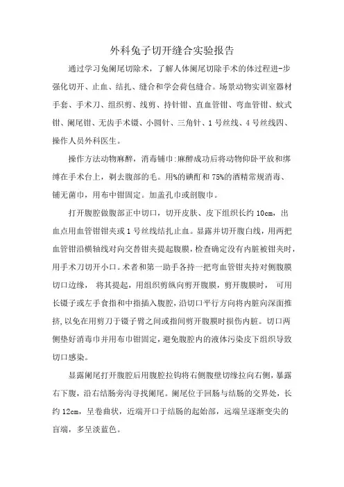 外科兔子切开缝合实验报告