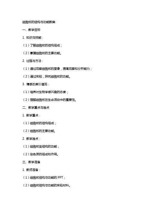细胞核的结构与功能教案