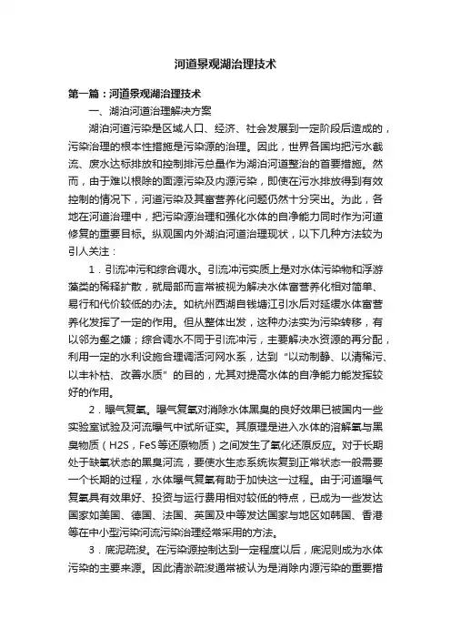 河道景观湖治理技术