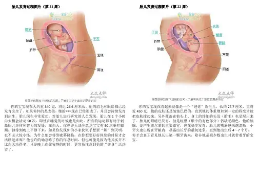 准妈妈第六月