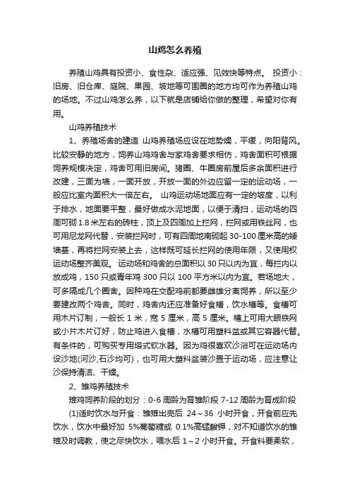山鸡怎么养殖