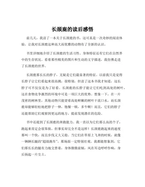 长颈鹿的读后感悟