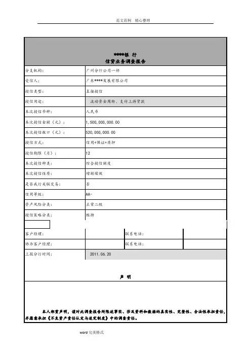 某能源发展公司银行授信调查报告