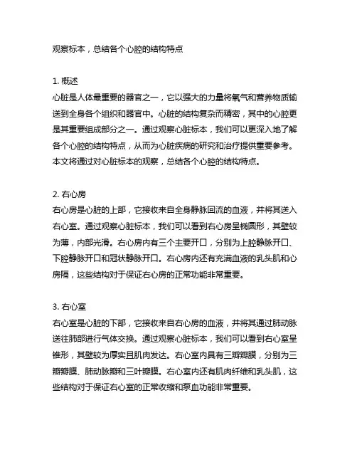 观察标本,总结各个心腔的结构特点